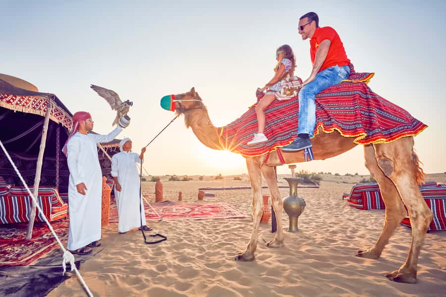 Dubai: Big Bus Hop-On Hop-Off Tour & Optional Dhow Cruise - Upgrades That Turn 1 Day into 5: Aquarium, Dubai Frame, and Desert Sunset