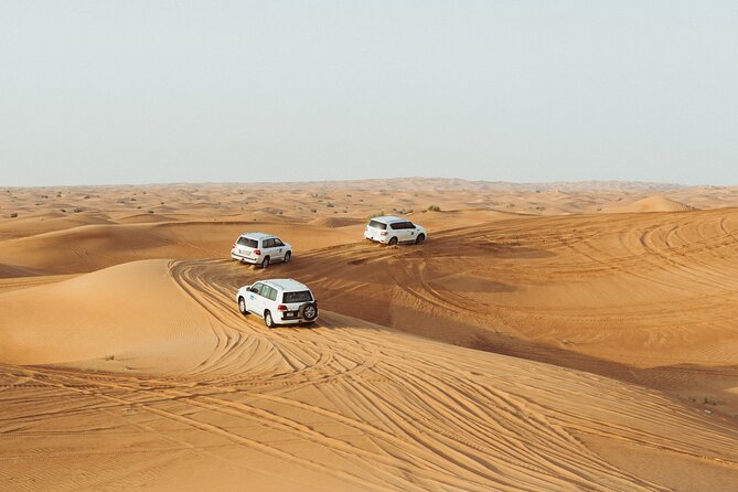 Dubai Buggy Tour in red sands and Desert Safari - The real cost question: Is $250 worth it?