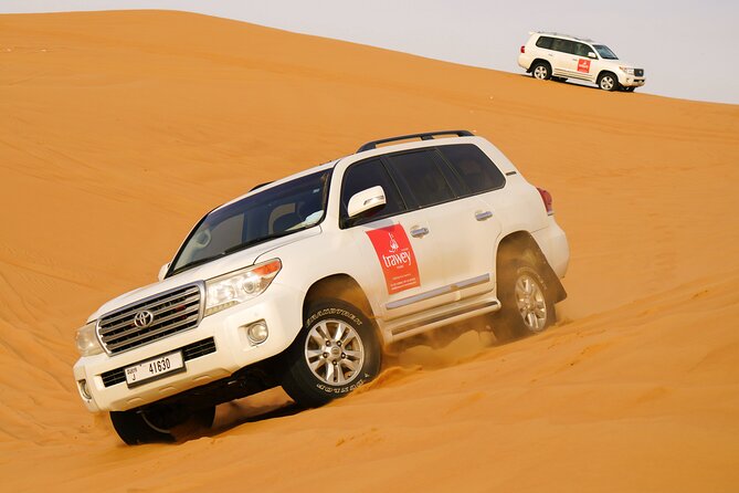 Dubai Buggy Tour in red sands and Desert Safari - What this is great for, and who should skip it