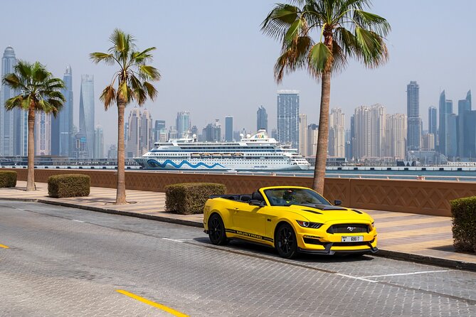 Dubai Cabrio Tour: Guided Tour of Top Sights in a Convertible Car - Car choice, guide style, and how to get better photos