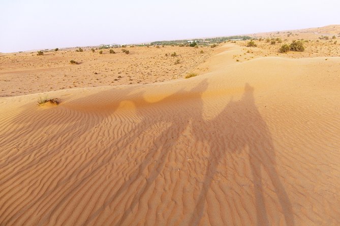 Dubai Camel Desert Safari, Traditional Meal & Heritage Activities - From pickup in Dubai to the first desert cues