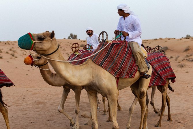 Dubai Camel Desert Safari, Traditional Meal & Heritage Activities - Torch-lit Bedouin camp, the heritage part that sticks