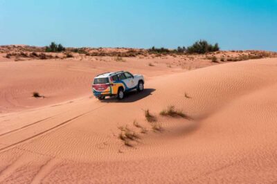 Camel Safari, Wildlife & Lakeside Breakfast