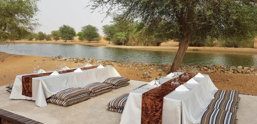 Dubai: Camel Safari, Wildlife & Lakeside Breakfast - Lakeside Breakfast: Seasonal Treats and Real-Time Relaxation