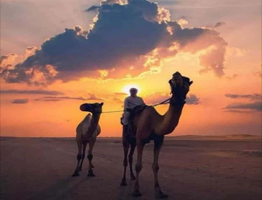 Dubai: Can-Am 1000 CC - Getting There: Hotel Pickup, Sharing Basis, and a Private Feel