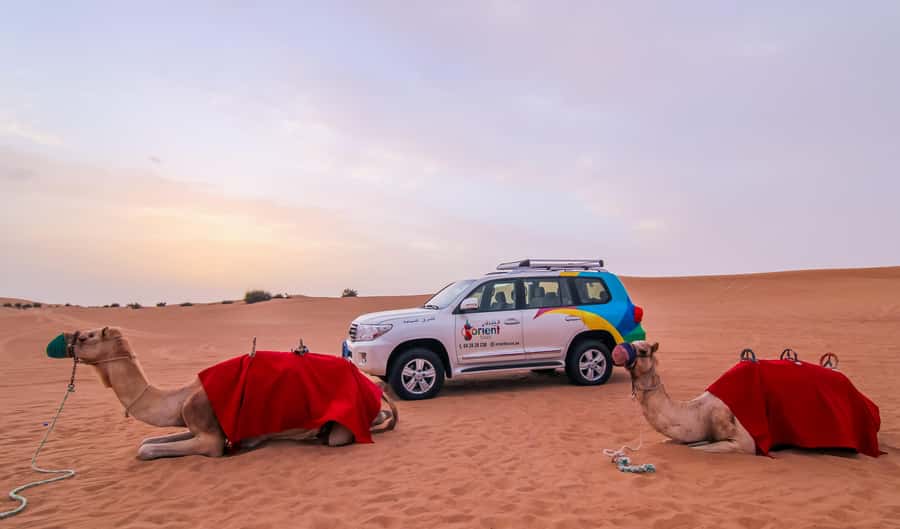 Dubai: City Tour and Desert Experience with Fun Activities - Price and Value: Why $85 Can Make Sense for a Full-Day Combo