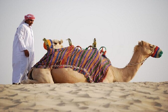 Dubai City Tour and Evening Desert Safari Combo - Stargazing with a telescope, and why the timing matters
