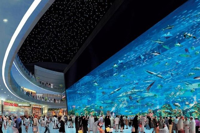 Dubai City tour from Abu Dhabi - Dubai Mall for Shopping and Lunch: The Best Time Slot to Control