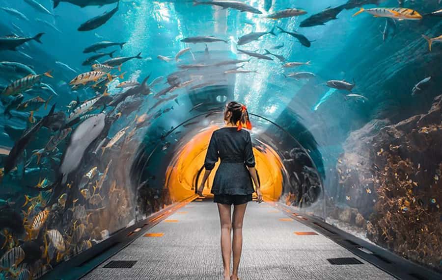 Dubai: City Tour with Burj Khalifa and Underwater Zoo Ticket - Modern Dubai Photo Stops That Actually Help You Understand the City