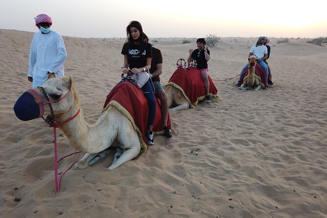 Dubai City Tour with Desert Safari - The desert safari part: 4x4 dune bashing and sandboarding