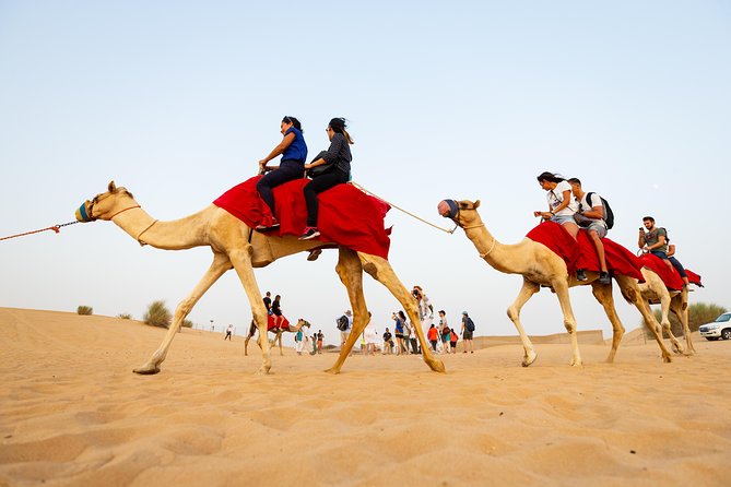 Dubai Combo:City Tour and Premium Desert Safari with all Activities - Key things I think you’ll care about