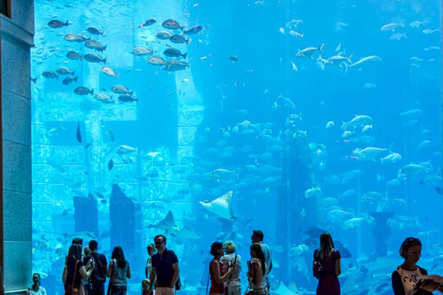 Dubai Combo: Morning City Tour & Evening Desert Safari - Key highlights that make this day feel like a good deal