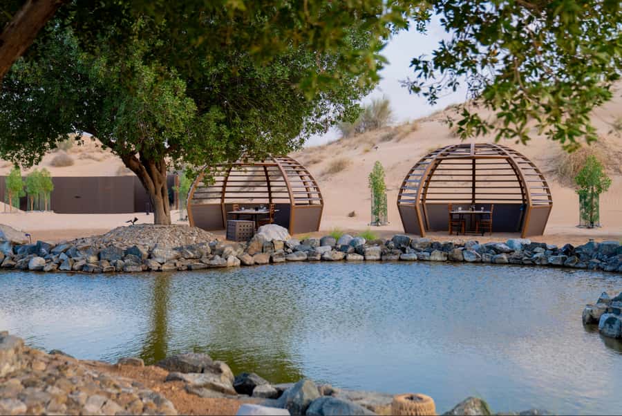 Dubai: Conservation Drive & Platinum Breakfast - Practical Tips Before You Go (So the Desert Does Not Beat You)