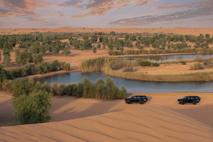 Dubai: Conservation Drive & Platinum Breakfast - Inside the Conservation Reserve: The Drive Where Wildlife Gets Priority