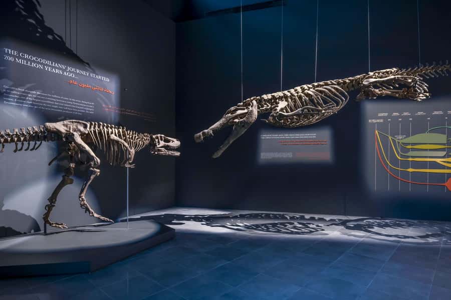 Dubai Crocodile Park Ticket - Key highlights to look for
