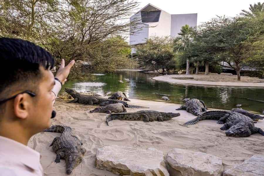 Dubai Crocodile Park Ticket - Aquarium time: the African lake-themed underwater viewing moment