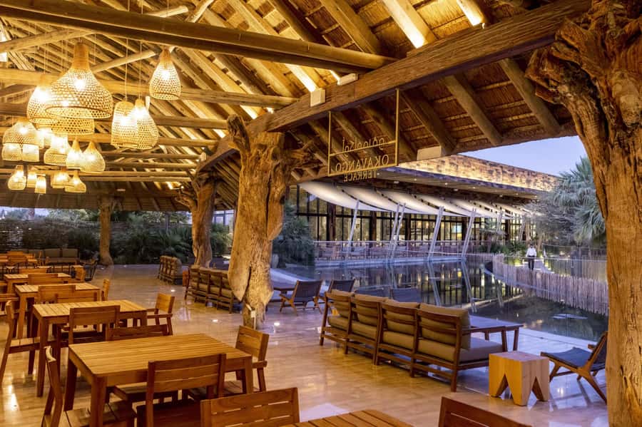 Dubai Crocodile Park Ticket - Feeding time tip and what it means for your timing