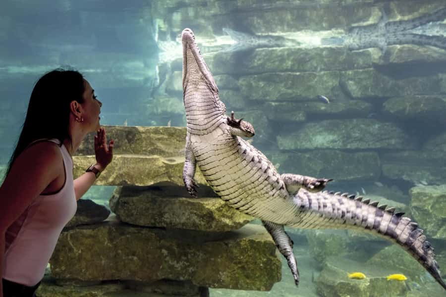 Dubai Crocodile Park Ticket - How long you need: a practical loop, not a full marathon