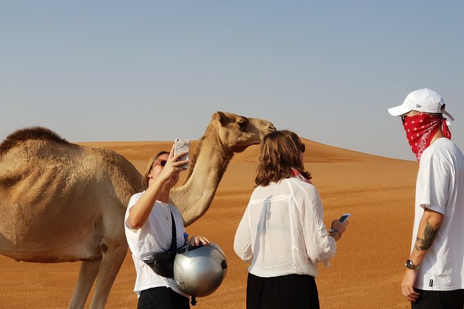 Dubai: Desert Camel Ride with Live Shows & BBQ Buffet Dinner - Key highlights worth clocking