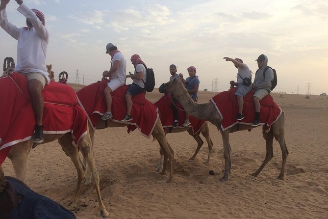Dubai: Desert Camel Ride with Live Shows & BBQ Buffet Dinner - The Red Dunes camel ride at sunset: the main event