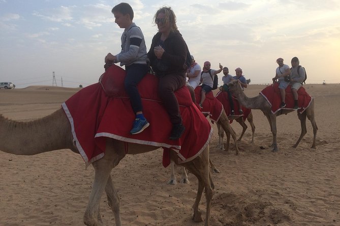 Dubai: Desert Camel Ride with Live Shows & BBQ Buffet Dinner - Price and value: is about $110 worth it?