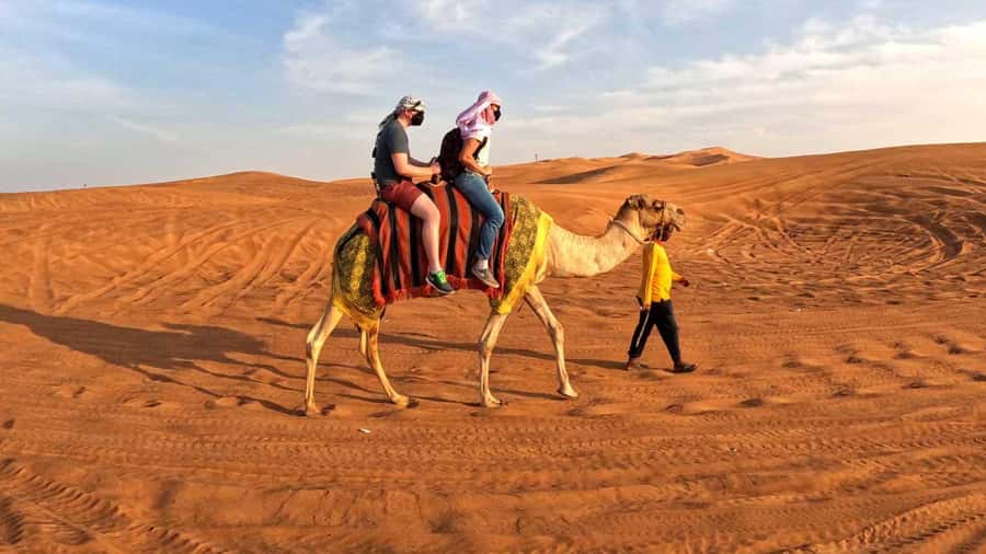 Dubai: Desert Camel Ride with Live Shows & BBQ Buffet Dinner - Who should book this camel ride with dinner, and who should skip it