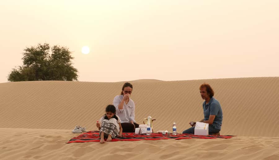 Dubai Desert Morning Drive with Wildlife Experience - When to go and what to pack for a desert morning
