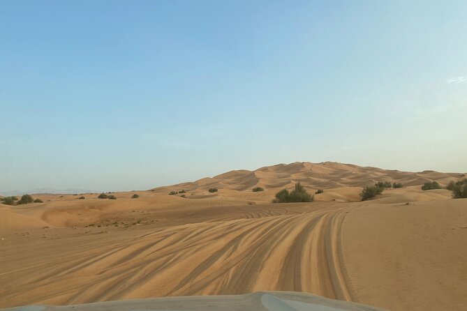 Dubai Desert Safari, Camel, Live BBQ & Shows (Private 4x4 Car) - Guides and Drivers: Why Names Like Asad, Abdullah, Sana, Faisal, Rafiq Keep Appearing