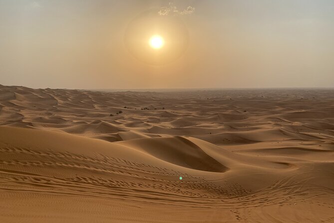 Dubai Desert Safari, Camel, Live BBQ & Shows (Private 4x4 Car) - Logistics That Matter: Duration, Stops, and How the Day Feels