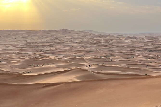 Dubai Desert Safari, Camel, Live BBQ & Shows (Private 4x4 Car) - The Camp Transition: Dinner Is Part of the Show, Not an Afterthought