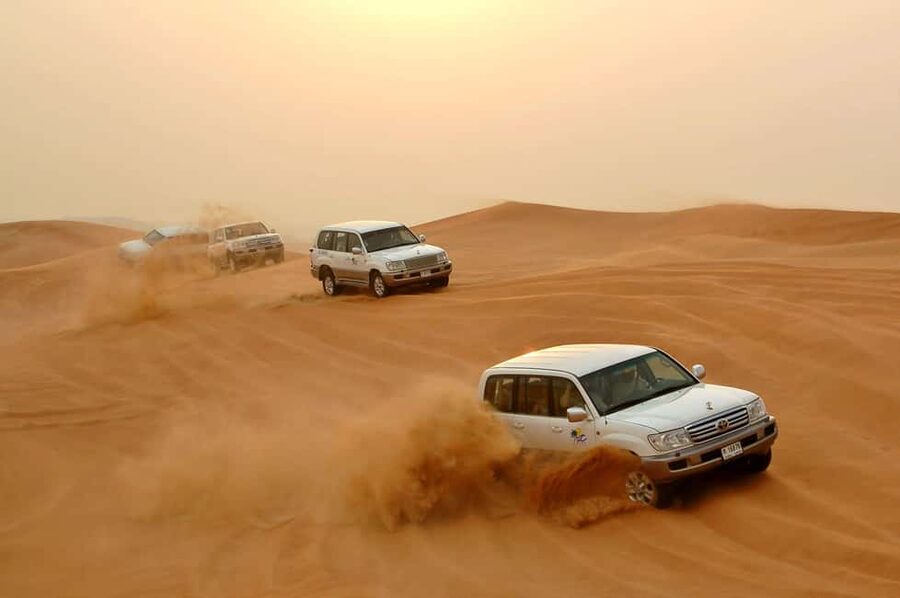 Dubai: Desert Safari, Camel, Quad Ride & Mesmerizing Shows - Quick Take: What I’d Focus on