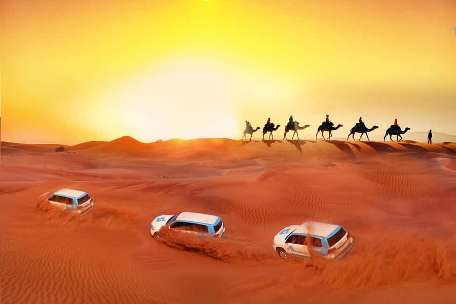 Dubai: Desert Safari, Camel, Quad Ride & Mesmerizing Shows - Desert Camp Comfort, Cushions, and That Central Stage Feeling