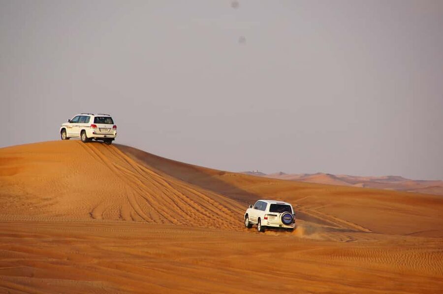 Dubai: Desert Safari, Camel, Quad Ride & Mesmerizing Shows - Animal Encounters and the Extra Details That Make It Feel Human
