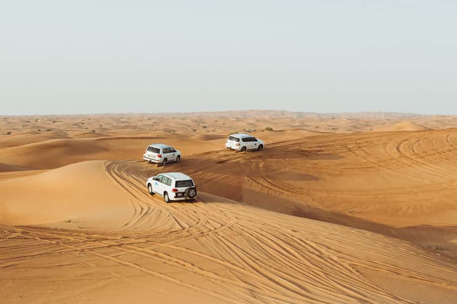 Dubai: Desert Safari, Camel Ride, and BBQ Dinner - What This Dubai Desert Safari Really Delivers