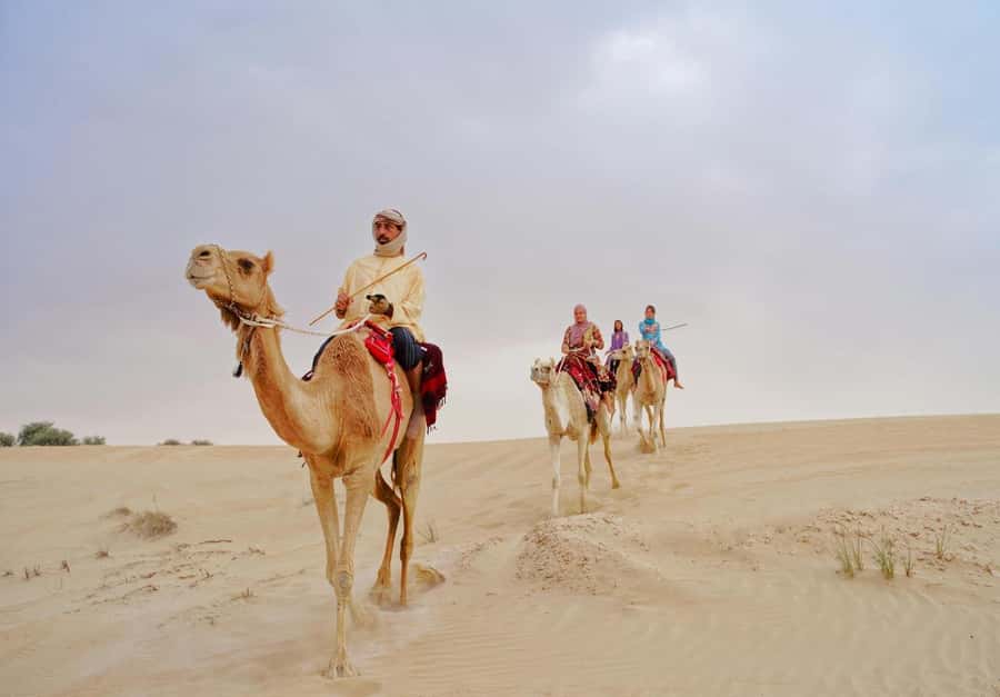 Dubai: Desert Safari, Camel Ride, Sandboard & Buffet Dinner - Your 7-Hour Dubai Desert Safari, Hotel Pickup to Night Shows