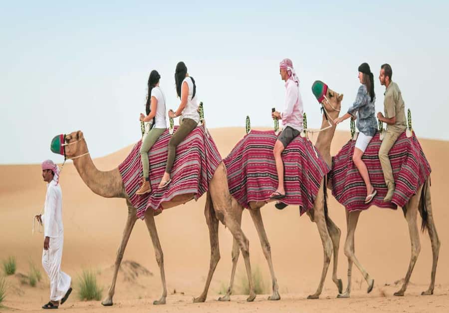 Dubai: Desert Safari, Camel Ride, Sandboard & Buffet Dinner - Who This Desert Safari Suits Best