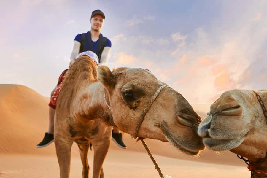 Dubai Desert Safari - Camel Ride, Sandboarding & 30 Min Quad - Sunset Slot on Afternoon Tours: Why Golden Light Changes Everything