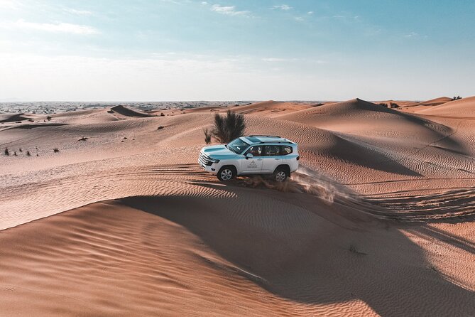 Dubai Desert Safari: Camel Ride, Sandboarding, BBQ & House Drinks - Safety and comfort: how the off-road ride actually feels
