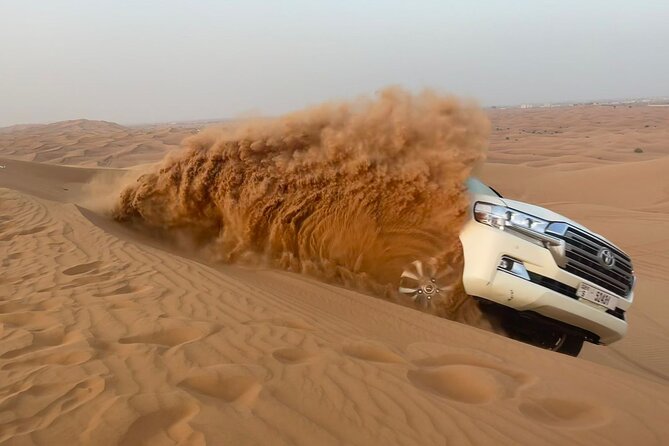 Dubai Desert Safari, Camel Ride, Shisha, Henna, Live BBQ & Shows - Who This Dubai Safari Fits Best