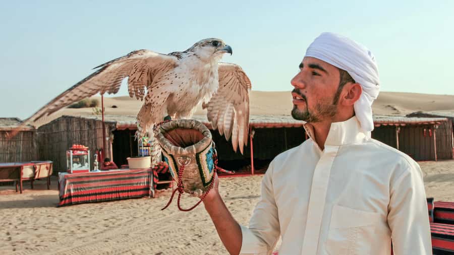 Dubai Desert Safari - Premium BBQ Dinner, Camel Ride & Shows - Camel Ride in the Desert: Short, Sweet, and Photo-Friendly