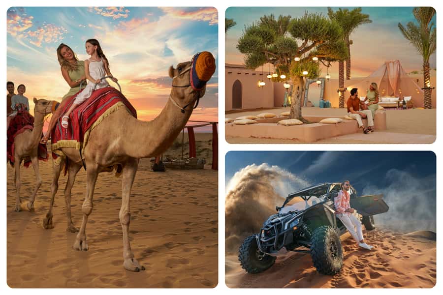 Dubai: Desert Safari, Quad Bike & Premium Camp Experience - Sandboarding and Camels: Two Different Kinds of Fun