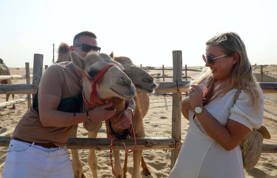 Dubai: Desert Safari, Quad Bike, Sandboarding, Camels & BBQ - Camel ride and falcons: the calmer moments with real wow-factor