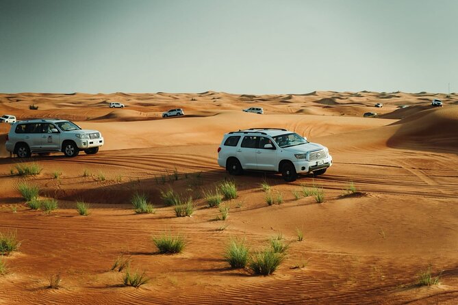 Dubai Desert safari Tour with Live BBQ & Belly Dance Shows - Price and Value: Why $45 Can Feel Fair
