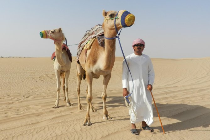 Dubai Desert Safari with BBQ, 3 Shows & Camel Ride at Majlis Camp - The show lineup: belly dance, tanoura, and fire