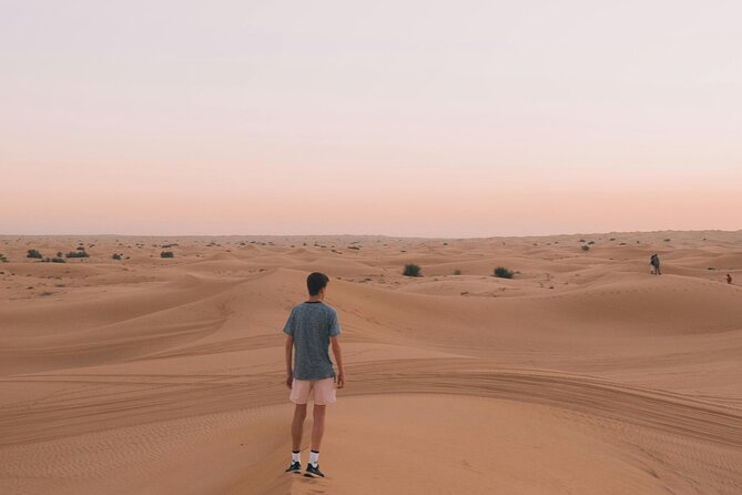 Dubai Desert Safari with BBQ Dinner and Live Shows - Lahbab Red Sand: dune bashing, sandboarding, and the best photo angles