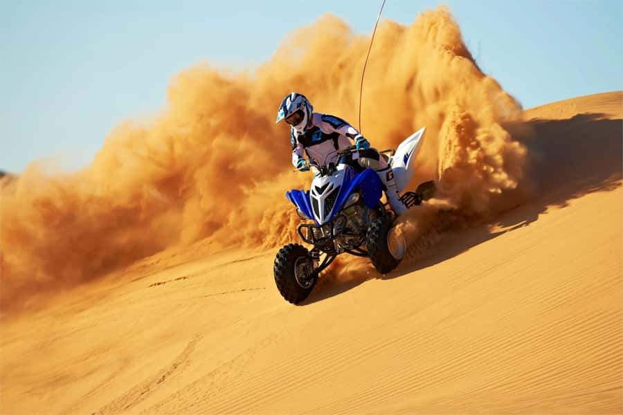 Dubai: Desert Safari with BBQ Dinner & Quad Biking Option - Price and Value at Around $35: What You Get for the Money