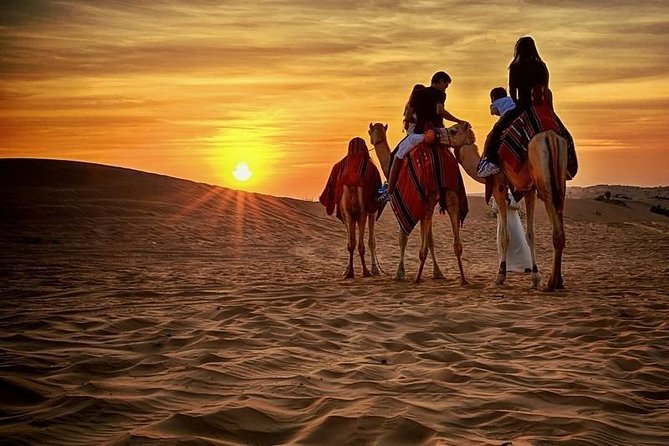 Dubai Desert Safari With BBQ, Quad Bike And Camel Ride - Quad bike riding in the Lahbab Desert: one bike per person