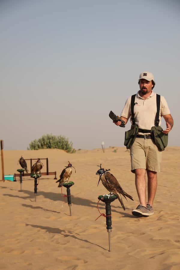 Dubai Desert Safari with Burj Khalifa (Ticket Only) - Dune drive and sand boarding: thrill factor with a safety-minded reality check