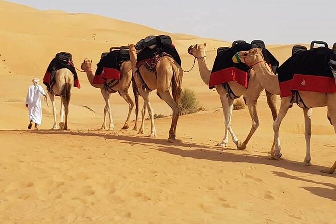 Dubai Desert Safari With Dune Bashing, Camel Ride & BBQ Dinner - Lahbab red sands: tire deflation, dune bashing, and the best photo moment