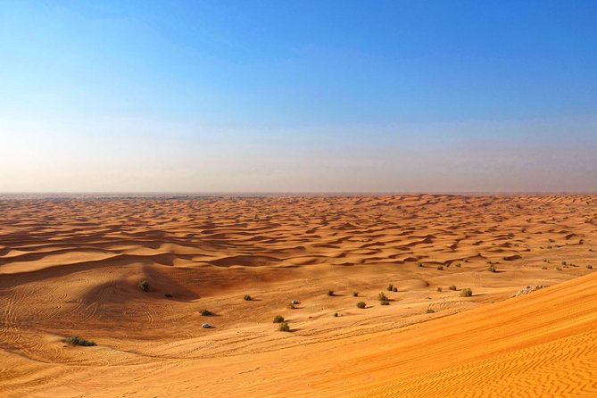 Dubai Desert Safari with Dune Bashing, Camel Rides & BBQ - Camel rides and henna: the classic desert pair